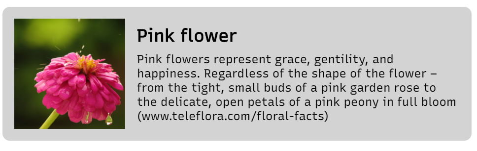 a card view with pink flower and description